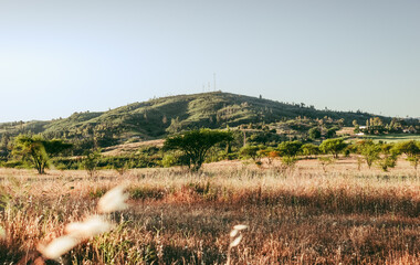 Paisaje rural del campo del sur de chile; región del maule, cauquenes, con montaña verde y boscosa al atardecer sobre un campo de hierba amarilla y seca de trigo con cielo despejado