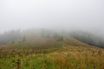 Veľká Fatra. Great Fatra, Slovakia.