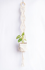 Beautiful handmade DIY cotton macrame wall hanging  with tree in pot on white background