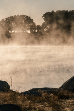 Fog on lake at sunrise
