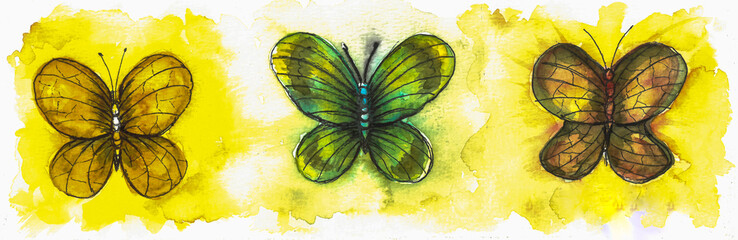 Fototapeta na wymiar Hand painted watercolour illustration of butterflies. Painted by the photographer.