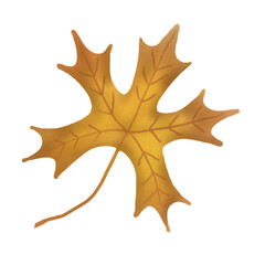 Naklejka premium Autumn Leaf thanksgiving hand drawn element