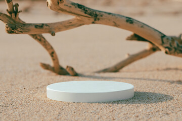 Obraz na płótnie Canvas Empty round white platform podium and dry tree twig on the beach