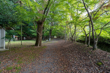 金剛院・鹿原公園・弘法の滝