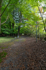 金剛院・鹿原公園・弘法の滝