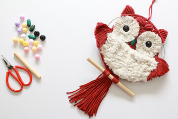 Fototapeta na wymiar Handmade owl macrame with accessories on white backgroud