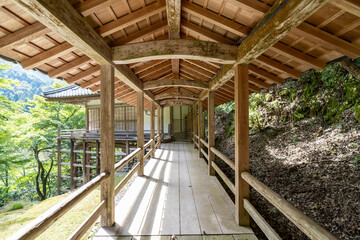 金剛院・鹿原公園・弘法の滝