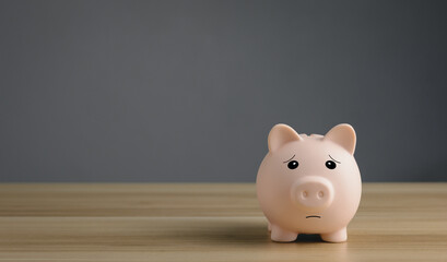 Sad pig piggy bank, Piggy bank without Savings Money.