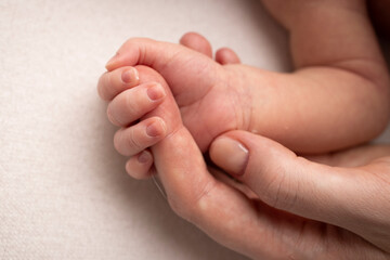 Close-up little hand of child and palm of mother and father. The newborn baby has a firm grip on the parent's finger after birth. A newborn holds on to mom's, dad's finger. 