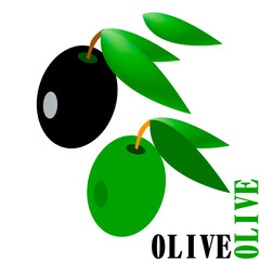 oliva2