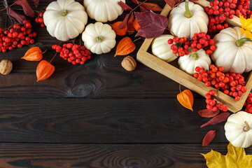 Autumn or Thanksgiving. white decorative pumpkins, autumn leaves and berries of red mountain ash on a dark wooden background, copy space