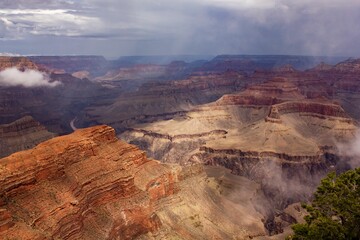 Mesmerizing view of a foggy gorge in Grand Canyon National Park, with green trees in the background