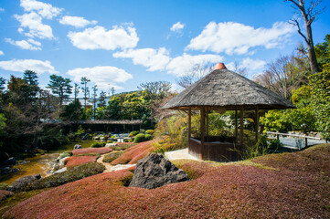 Fototapeta na wymiar 京都 妙心寺・退蔵院の春の訪れを感じる美しい庭園