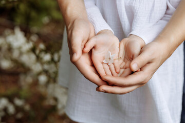 The hands of an adult and a child hold a flower