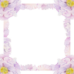 Watercolor square frame arrangement with hand drawn delicate pink peony flowers, buds and leaves. Isolated on white background. For invitations, wedding, love or greeting cards, paper, print, textile