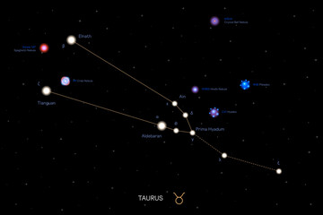 Obraz na płótnie Canvas TAURUS zodiac horoscope star constellation space symbol, horoscope night sky map. vector illustration