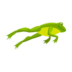 Green frog jumping for prey. Cartoon vector illustration. Leaping toad on white background. Funny water animal. Nature, movement, amphibia, reptile, fauna concept for design