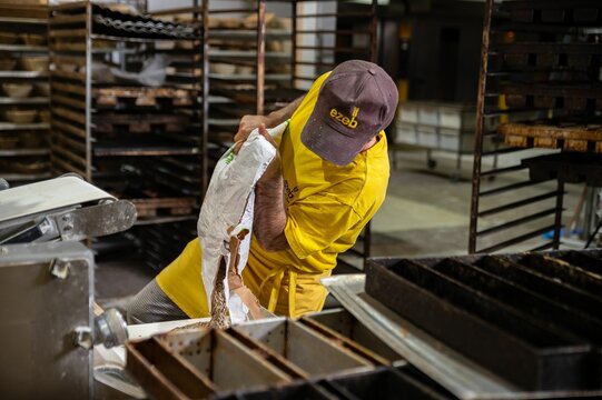 Worker In Ezeb Bakery While Putting The Ingredients To Get To Work And Surrounded By The Shelves