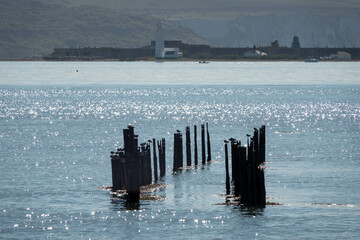 skeletal remains of old pier at Keyhaven and Lymington nature reserve Hampshire England with Hurst...
