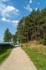 Fototapeta na wymiar Vertical shot of a footpath leading to a lake in Lithuania