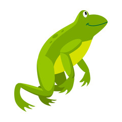 Green frog bouncing in place. Cartoon vector illustration. Leaping toad on white background. Funny water animal. Nature, movement, amphibia, reptile, fauna concept for design