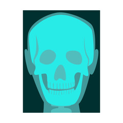 Ray of human scull vector illustration. Bones of skeleton, roentgen, radiography isolated on white background. Anatomy, medicine, health concept