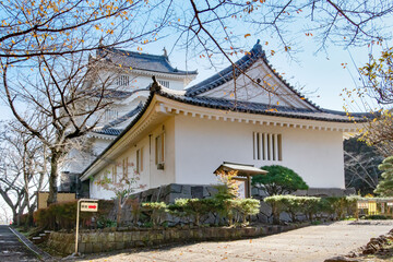 千葉県夷隅郡大多喜町の大多喜城