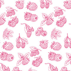 Seamless pattern with raspberries. Vector illustration