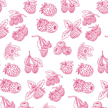 Seamless pattern with raspberries. Vector illustration
