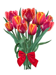 Obraz premium bouquet of red tulips tied with red satin bow illustration