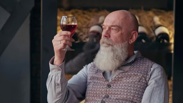 Male sommelier tasting wine while working at a cellar.
