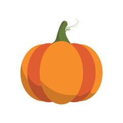 Pumpkin Vector Illustration