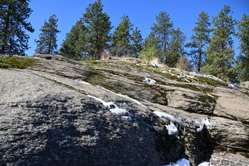 Obraz premium trees in snow covered rocks