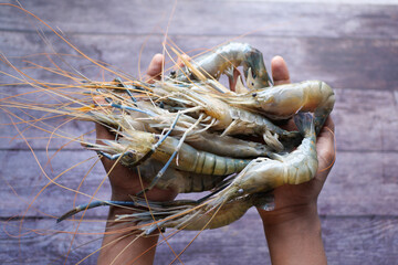 top view of raw king prawn on hand 