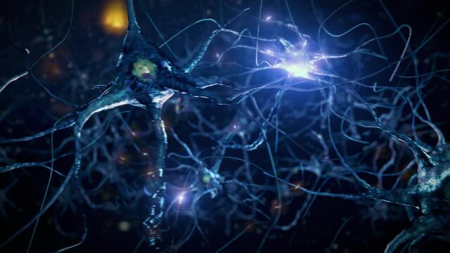 3D Animation Neurons in the Brain. Nerve Cells Sending Electrical and Chemical Signals. Synapse Process Inside the Nervous System. Brain Network, Neurotransmitter Impulses.