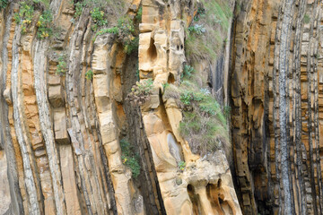 Geological folds colonized by vegetation at La Concha Beach in Donosti