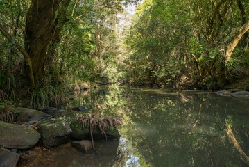 River through the Australian bush