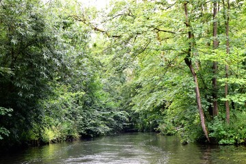 Beautiful Shot Lake The Woods