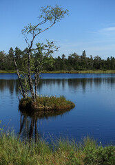 Wildsee bei Kaltenbronn