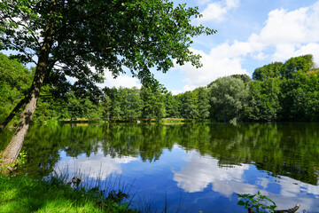 Paddling pond in Bad W&uuml;nnenberg. Nature in the park with a small lake.
