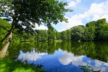 Paddling pond in Bad Wünnenberg. Nature in the park with a small lake.
