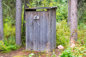 Rustic old outhouse in the forest