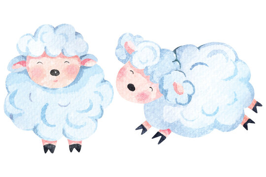 Cartoon cute sheep painted in watercolor.Lamb illustration.Farm animals.Isolated on white background.Suitable for children.