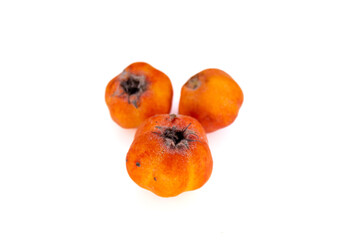 Red hawthorn fruit isolated on white background. Top view.