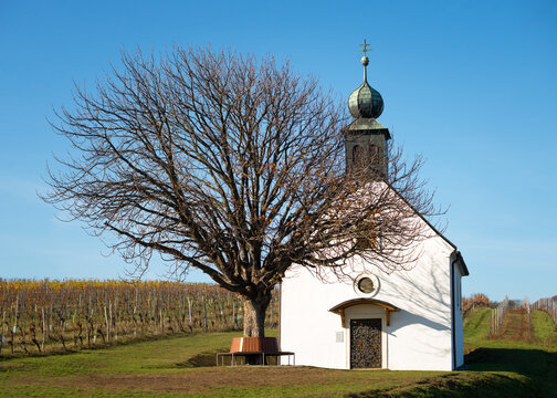  Autumnal vineyards, wine garden chapel in Neckenmarkt, Oberpullendorf District, Burgenland, Austria