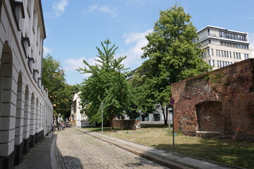 Waisenstraße in Berlin