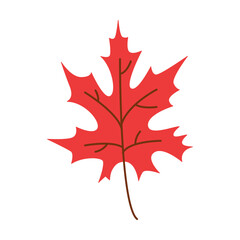 Red maple leaf cartoon illustration. Autumn symbol. Foliage, fall decoration, September concept