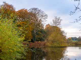 Autumn coloured trees around the lake at Arley, Cheshire, UK