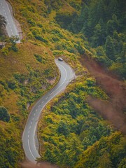 Vertical shot of a road surrounded by a beautiful forest in autumn - perfect for wallpapers