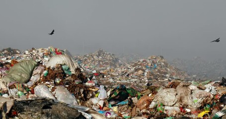 Closeup of burning trash piles in landfill with flying crows over the site